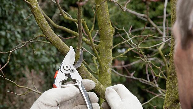 Foto: Kai Remmers/dpa