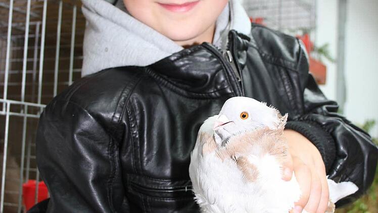 Lukas Hofmann findet seine chinesischen Tauben prima: "Die haben so schöne Augen."