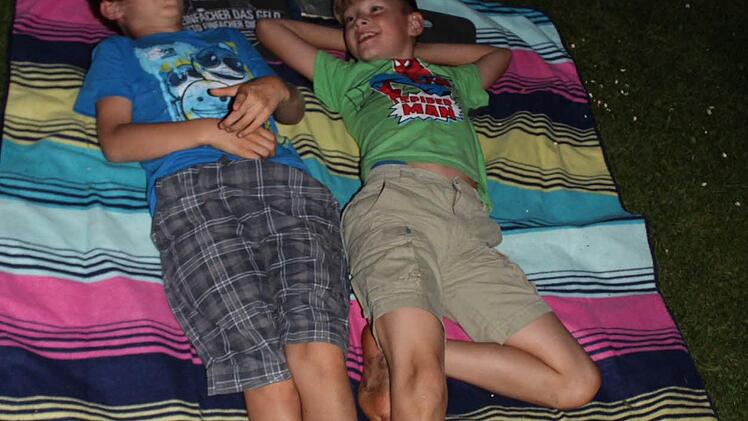 So Kino zu gucken war f&uuml;r die beiden Jungen eine coole Sache. Foto: Manja von Nida