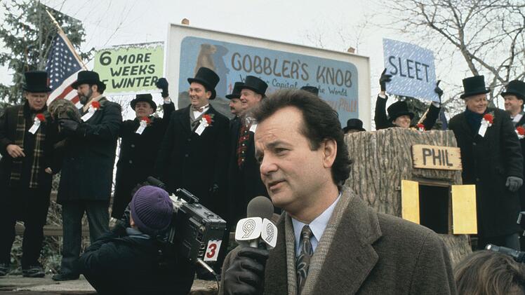 Phil Connors (Bill Murray) ist ins verschlafenen Kaff Punxsutawny gereist, um dort wie jedes Jahr vom "Murmeltier-Tag" zu berichten.