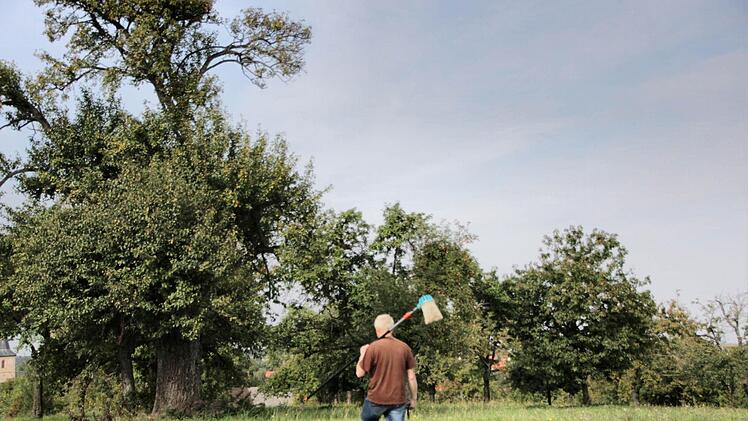 Wo andere den Wald vor lauter Bäumen nicht sehen, scannt der 61-Jährige Fachmann für fruchtige Botanik das Gebiet .