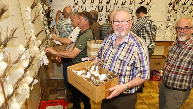 Die Schau ist vorbei: Bernhard Mirsberger aus Neunkirchen am Brand nimmt die Troph&auml;en ab. Foto: Franz Galster
