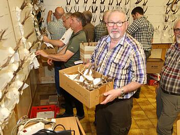 Die Schau ist vorbei: Bernhard Mirsberger aus Neunkirchen am Brand nimmt die Trophäen ab. Foto: Franz Galster