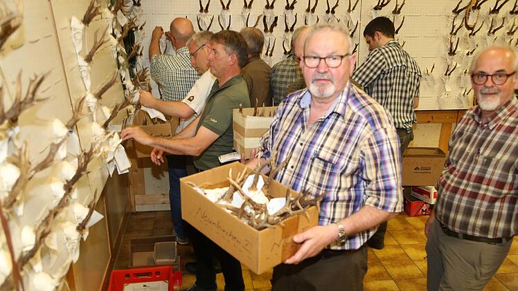 Die Schau ist vorbei: Bernhard Mirsberger aus Neunkirchen am Brand nimmt die Trophäen ab. Foto: Franz Galster