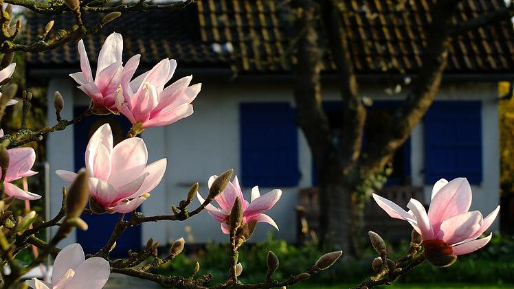 Auch im Gartenhaus kann man sich wohlfühlen.
