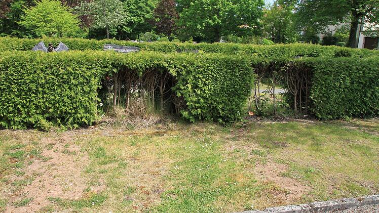 Offen gelassene Grabstätten sind keine Zier.