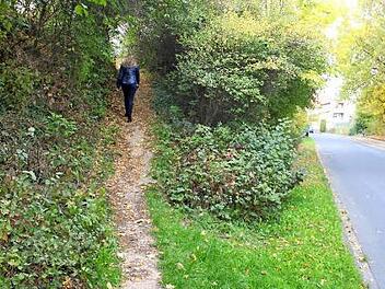 Der steile Fußweg (links), der Treibweg und Gerhart-Hauptmann-Straße verbindet, soll sicherer ausgebaut werden.  Foto: Andreas Dorsch