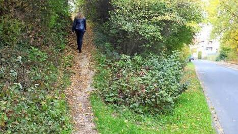 Der steile Fußweg (links), der Treibweg und Gerhart-Hauptmann-Straße verbindet, soll sicherer ausgebaut werden.  Foto: Andreas Dorsch