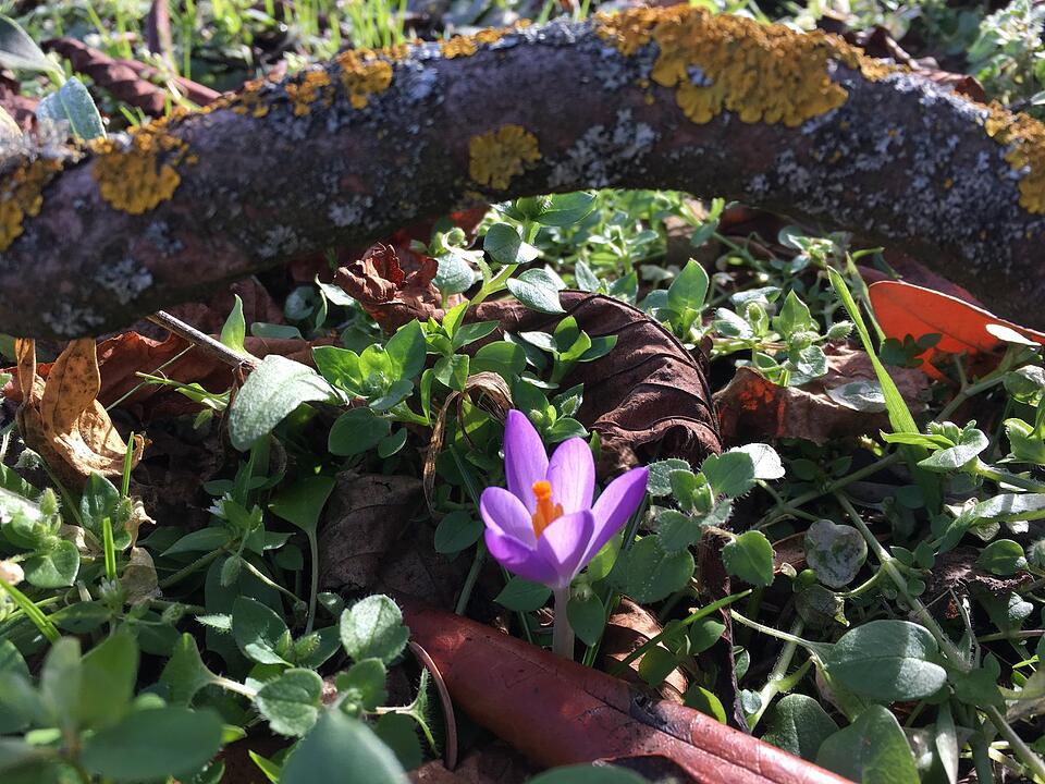 Die schönsten Fotos im Februar aus Haßfurt und Umgebung