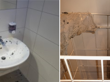 Stegaurach: "Schon wieder Vandalismus am Friedhof" - Gemeinde zieht Konsequenzen