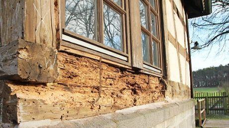 Die Balken der alten Sägemühle sind vom Holzwurm zerfressen.
