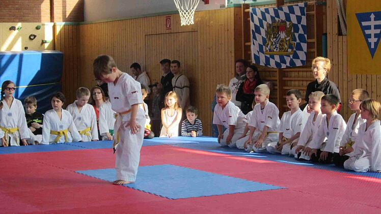 Sehr nervös waren die jüngsten Sportler in der Disziplin Kata (Demonstrationswettberwerb). Mit höchster Konzentration präsentierten sie den Kampfrichtern den vorgeschriebenen Ablauf an Techniken, hier Ferdinand Klehr beim Beginn der Kata.