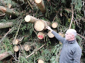 Dieser Haufen mit Kronen umfasst etwas 30 bis 35 Kubikmeter. Das Holz wird vor Ort zu Hackschnitzeln verarbeitet. Etwa 25 solcher Haufen liegen derzeit in den städtischen Wäldern. Thomas Malz