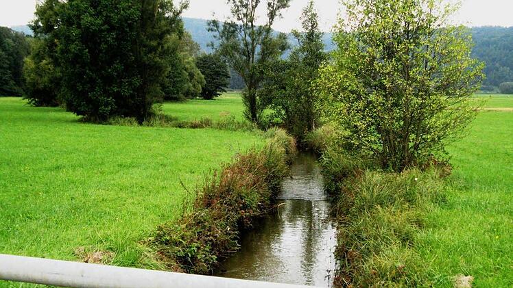 Die Trebgast vor der Renaturierung. Foto: Dieter Hübner