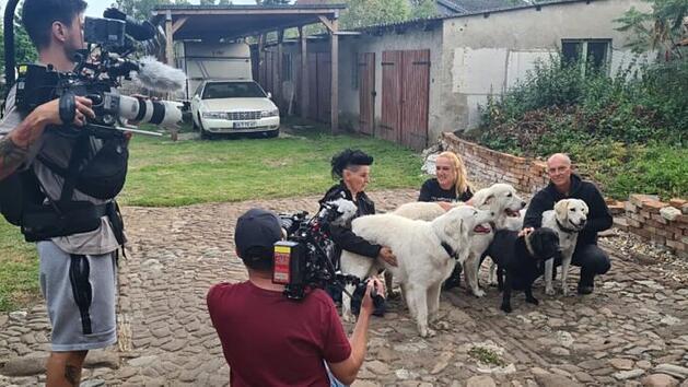 Tierheim Haßberge mit froher Botschaft: Martin Rütter findet Zuhause für "unvermittelbare" Hunde
