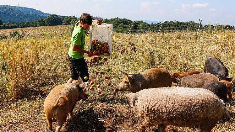 Glücklich im Schweineparadies Foto: Matthias Hoch