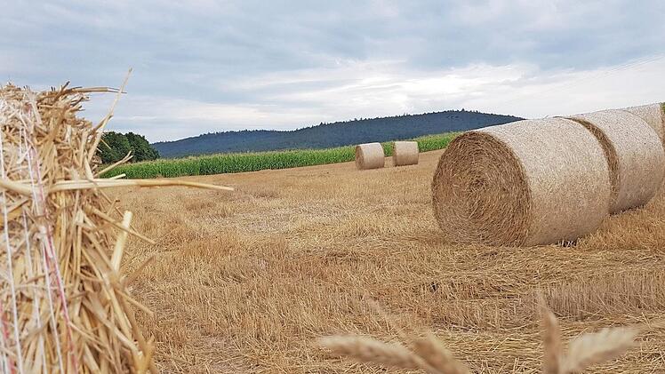 Strohballen auf den abgedroschenen Feldern sind die Relikte des gesch&auml;ftigen Treibens der vergangenen Woche. Die Ernte ist weitestgehendst eingebracht. Fotos Eckehard Kiesewetter