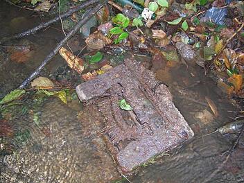 Deponiegut wie diese alte Schreibmaschine wird Richtung Ebermannstadt geschwemmt.  Foto: Stadtverwaltung