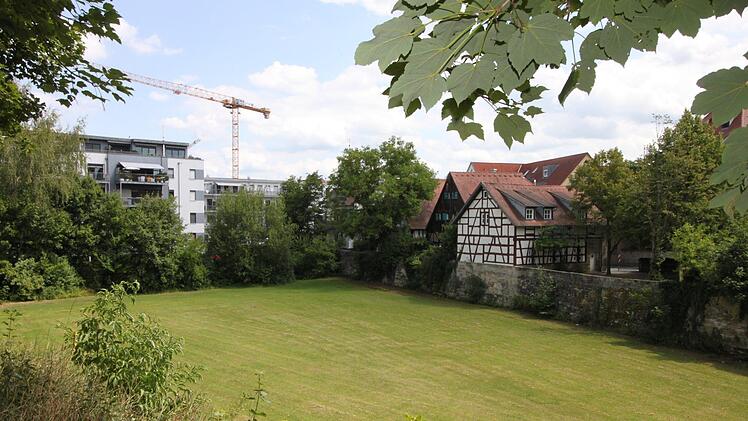 Schlimmer geht's nimmer: Diese grüne Ecke, den ehemaligen Krankenhausgarten beim Wohnquartier am Stadtpark , schlägt ISEK als Standort für eine Stadthalle vor.  Foto: Andreas Oswald
