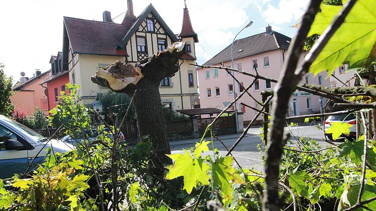 Das Sturmtief Fabienne wütete auch in Forchheim.  J. Hofbauer