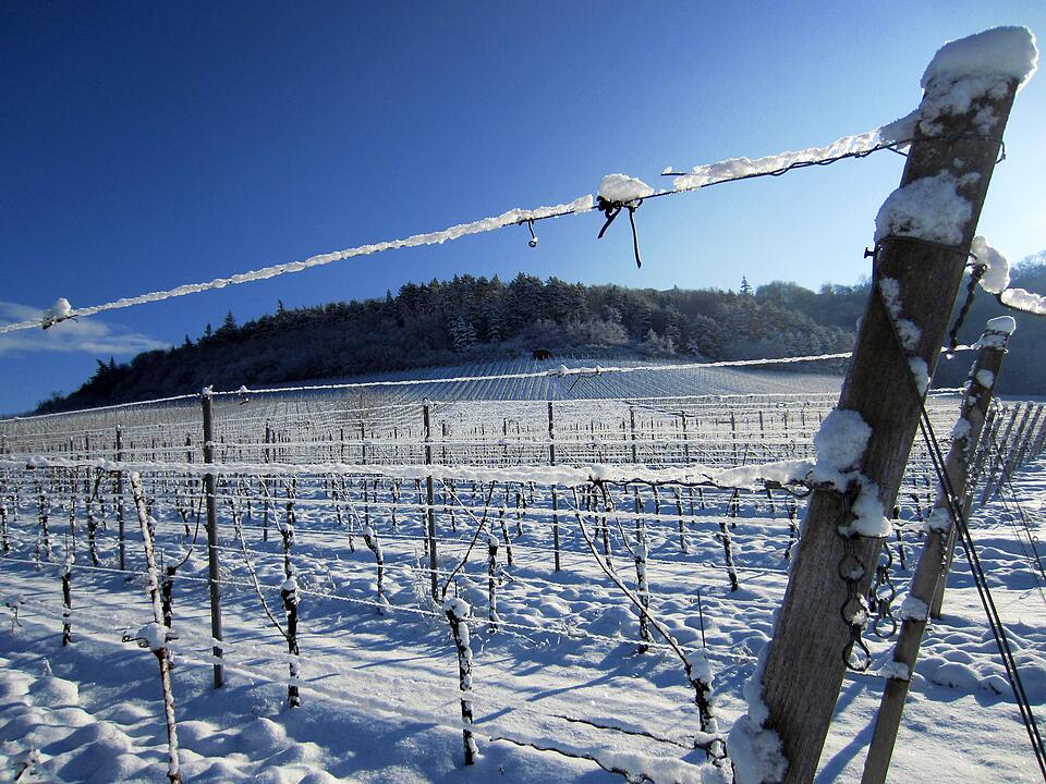 Fotos Konrad Thomann