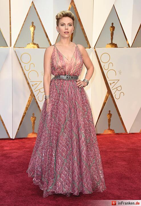 Die Oscar-Verleihung 2017