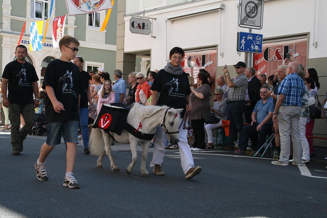 Rakoczy-Fest 2015 Bad Kissingen
