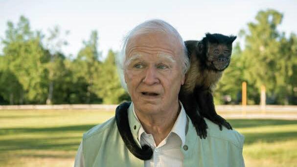 "Der Hunderteinjährige, der die Rechnung nicht bezahlte und verschwand": Allan (Robert Gustafsson) mit dem Affen Crystal.Foto: Concorde Filmverleih/Nice FLX