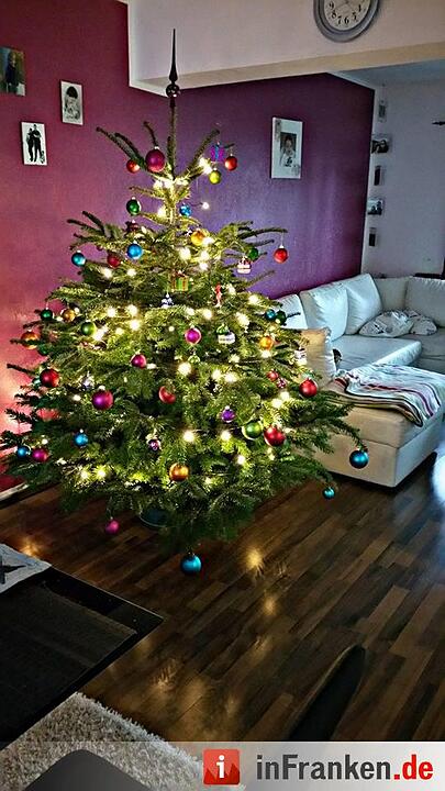 Weihnachten in Franken: Die Christbäume unserer Leser