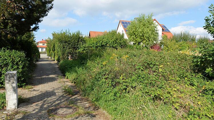 Foto: Rinklef/Archiv