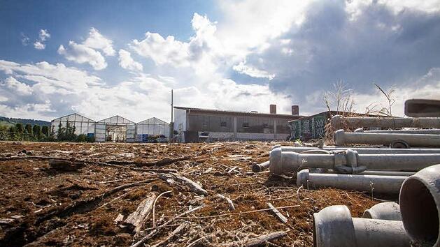 Bleibt am Ende doch das G&auml;rtnerei-Gel&auml;nde in Zell als einziger m&ouml;glicher Standort f&uuml;r das Tierheim &uuml;brig?  Foto: Hendrik Steffens