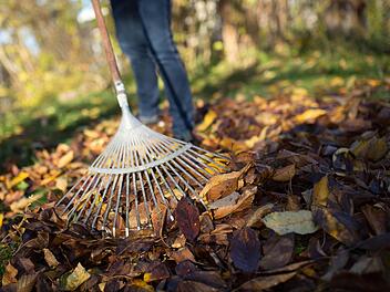 Ein Laubhaufen sollte in einem Garten nicht fehlen. Laubbläser hingegen schaden dem biologischen Gleichgewicht. Foto: Florian Schuh/ Archiv