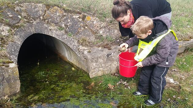 Stefanie Gall und ihr kleiner Helfer retten die Amphibien, die sich auf den Weg zu ihren Laichpl&auml;tzen machen. Dabei brauchen Mensch und Tier mehr Unterst&uuml;tzung.Sigrid Hader-Popp