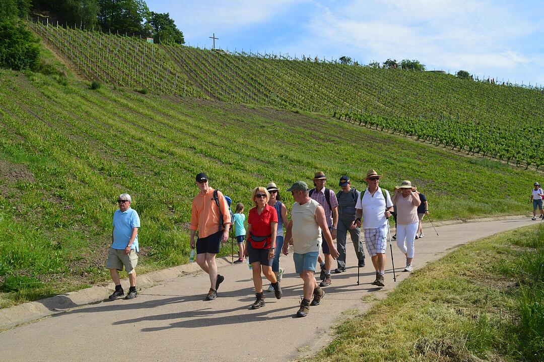 Landkreiswanderung 2017