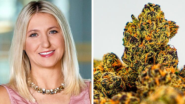 Fränkische CSU-Politikerin sorgt mit Cannabis-Rede für Irritation - "eines der wichtigsten Themen"