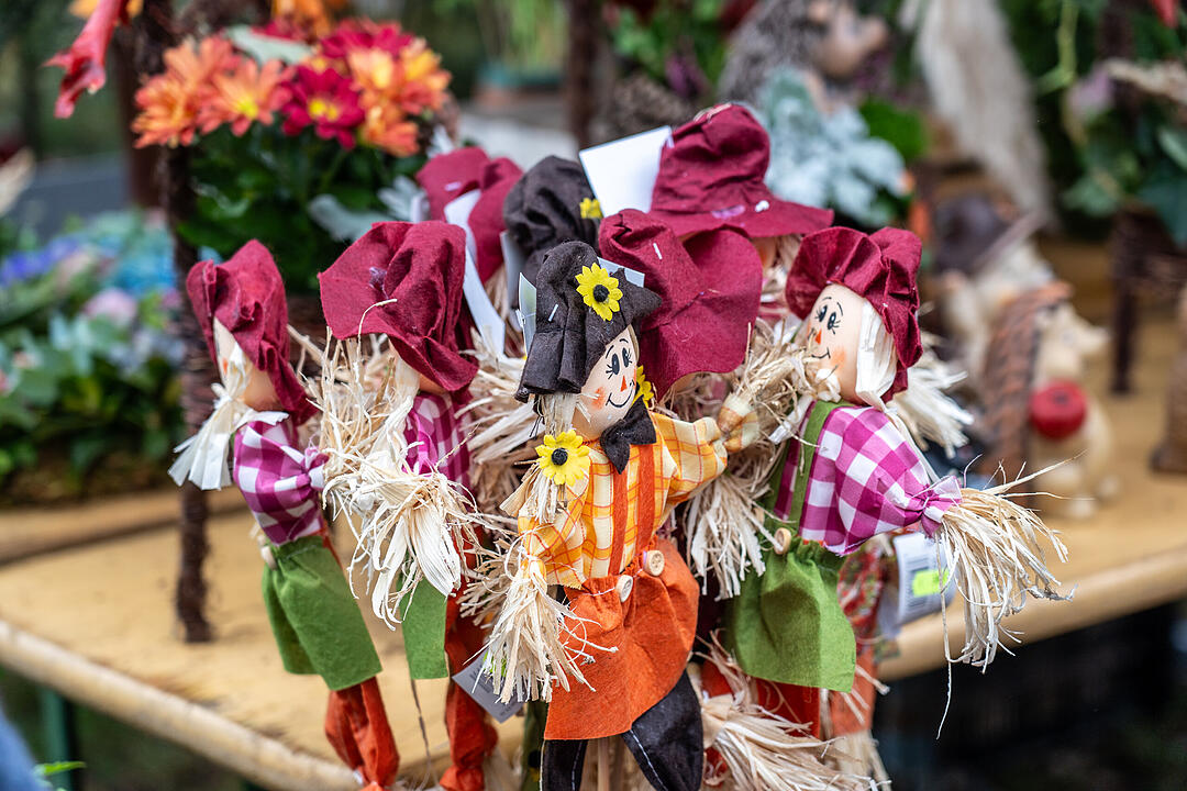 Die K&uuml;rbissaison hat ihren H&ouml;hepunkt mit dem K&uuml;rbismarkt in Altendorf.