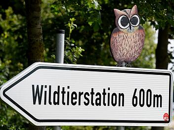 Wildtierstation Sachsenhagen (Archivbild)