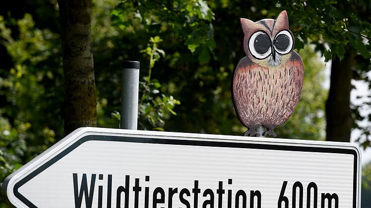 Wildtierstation Sachsenhagen (Archivbild)