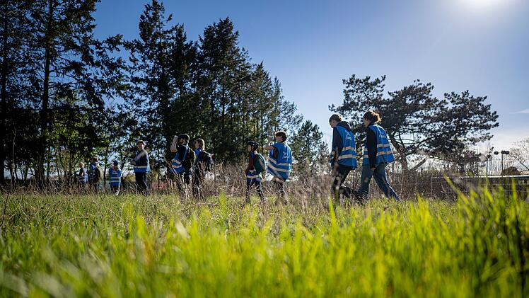 Young Birders Club