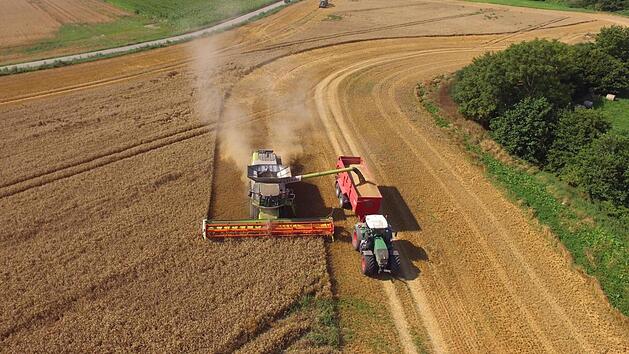 Wegen "massivem Trockenstress": Unterfr&auml;nkische Bauern mit "ern&uuml;chternder" Bilanz