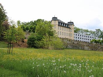 Der "Englische Landschaftspark" unterhalb des Schlosses Untermerzbach bietet weite Wiesen und geschwungene Wege.  Fotos: Ronald Heck