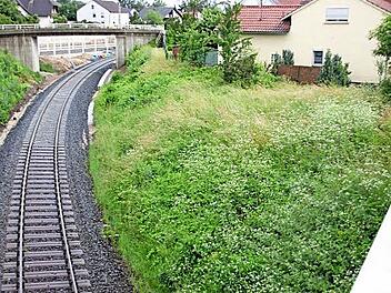 Nagelneu: Zusammen mjt den Betonschwellen der Haupt- und Bestandsstrecke zwischen Bamberg und Lichtenfels wurde im Bahnhof Breitengüßbach auch der Abzweig der Nebenstrecke nach Ebern mit neuen Gleisen wieder hergestellt. Fotos: Ralf Kestel