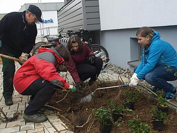 Für die Umgestaltung des Oerlenbacher Schulhofs packen die Schüler mit an (von links): Gärtnermeister Richard Höfling, Architektin Miriam Glanz sowie Selina und Julia pflanzen Rosen und Spiräen.   Foto: Stefan Geiger