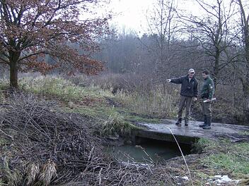 Biberberater Willfried Schwarz und Polizeihauptmeister Christoph Reh begutachten das sinnlose Werk eines Unbekannten, der Reisig aus dem Biberdamm herausgerissen hat.  Fotos: Petra Malbrich