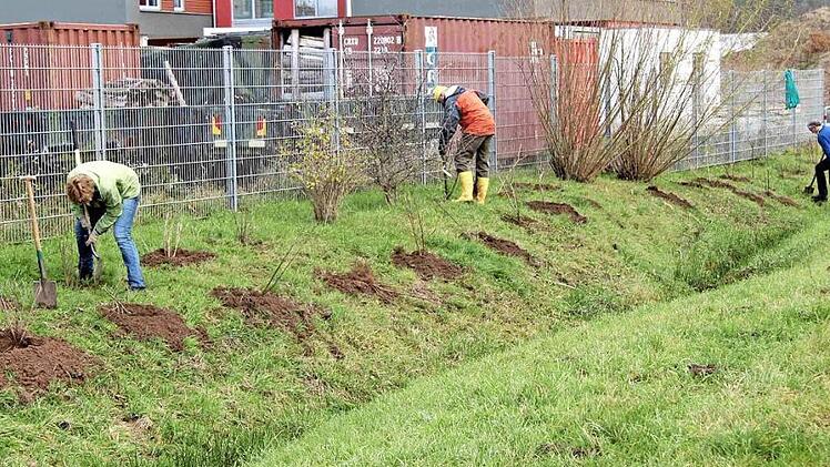 Aktion gegen den Rückgang der Artenvielfält und das Insektensterben: Am Rand des Gewerbeparks wurden 200 Sträucher und Bäume gepflanzt.  Fotos: Richard Sänger