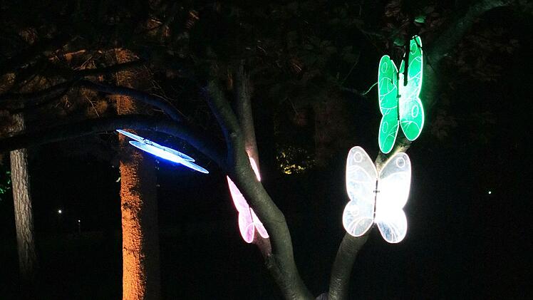 Impressionen der Coburger MuseumsnachtFoto: Jochen Berger