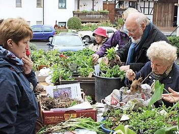 Fachgespräche über den Pflanzentisch hinweg: Beim Staudentausch in Seidmannsdorf fand jeder Besucher etwas für seinen Garten. Foto: Ulrike Nauer