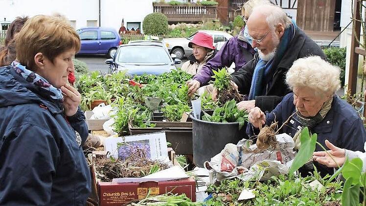 Fachgespräche über den Pflanzentisch hinweg: Beim Staudentausch in Seidmannsdorf fand jeder Besucher etwas für seinen Garten. Foto: Ulrike Nauer