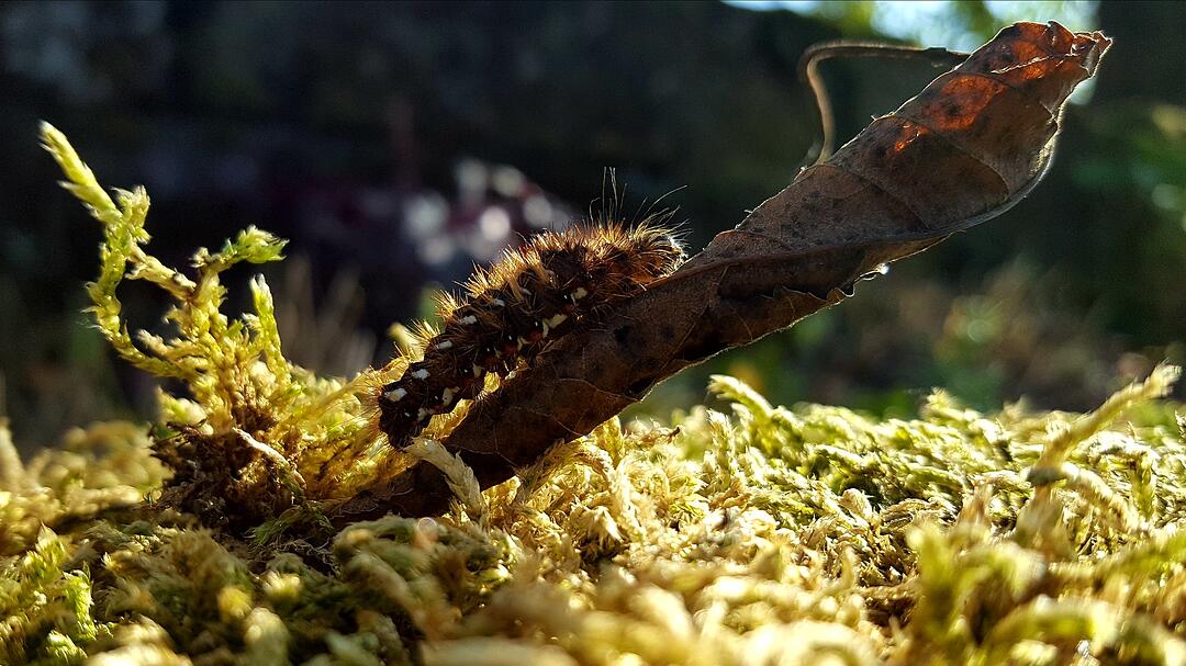 Die schönsten Fotos im September aus Kronach und Umgebung