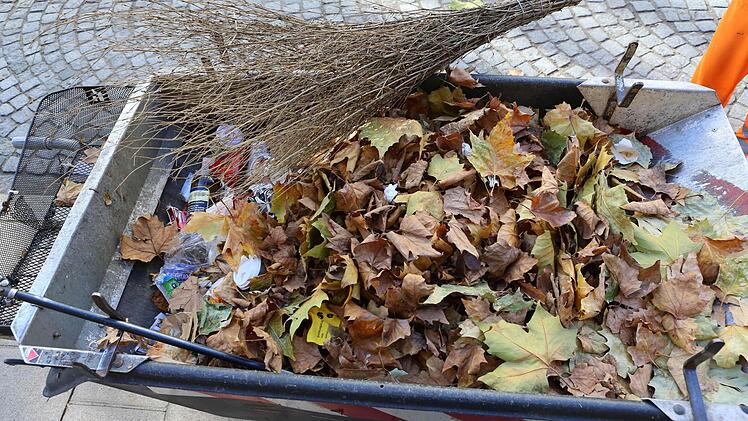 Foto: Barbara Herbst